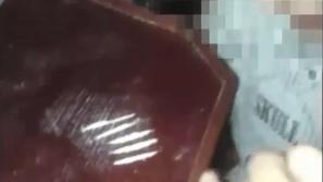 Posnetek podmladka SDS