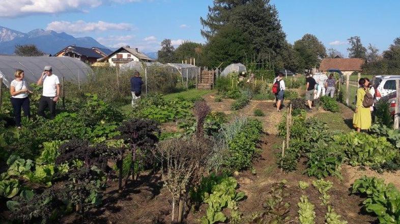 Eko vrt v Prašah pri Mavčičah, Mestna občina Kranj