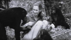 Jane Goodall