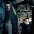 Robbie Coltrane