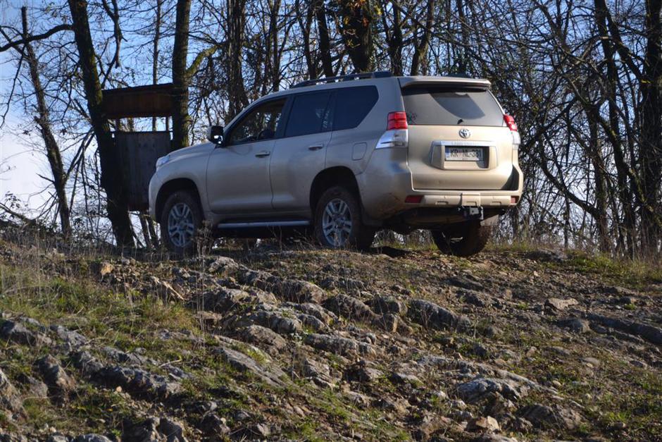 Terenska vožnja | Avtor: Žurnal24 main