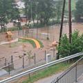 Poplave Vitanje, 4. 7. 2025