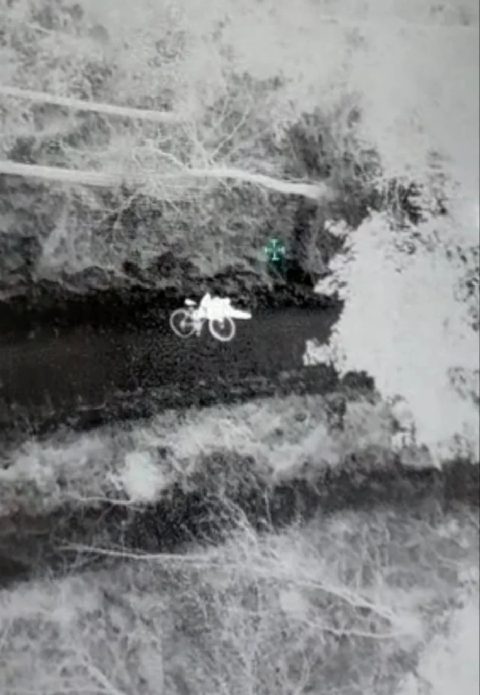 Rožnik-požar-2023 | Avtor: PU Ljubljana