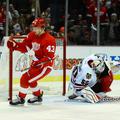 detroit red wings nhl