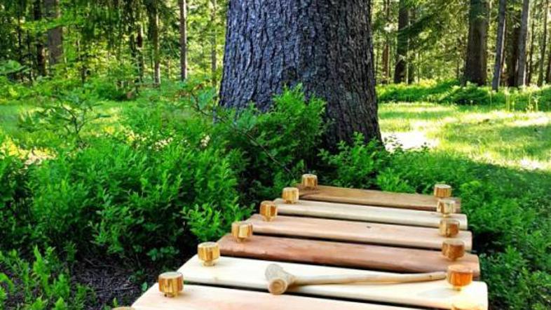 gozd Škofja Loka Poljanska dolina