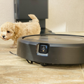 Nova Roomba