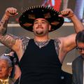 andy ruiz