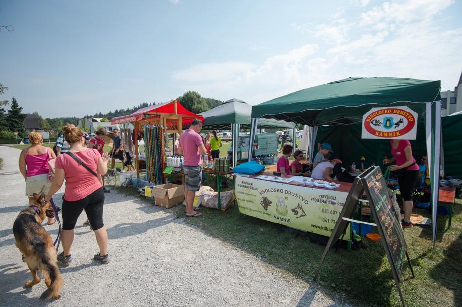 Sejem 2016 | Avtor: Anže Petkovšek