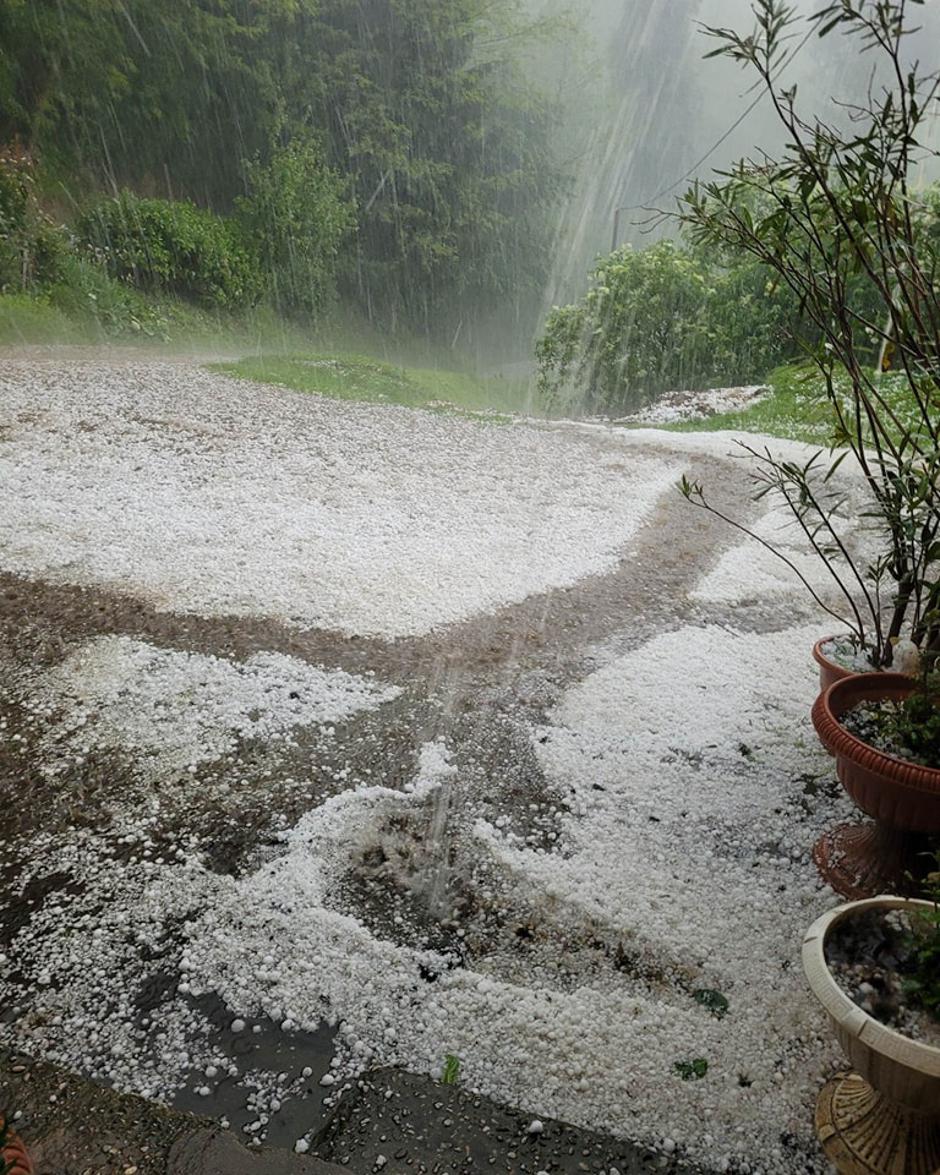 neurje | Avtor: Neurje.si