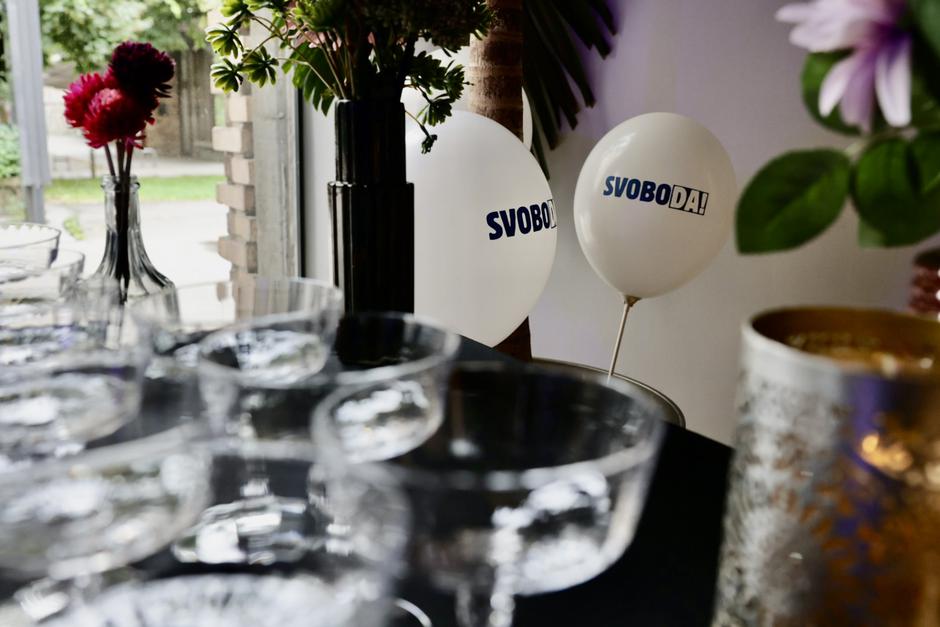 evropske volitve 2024, Svoboda | Avtor: Saša Despot