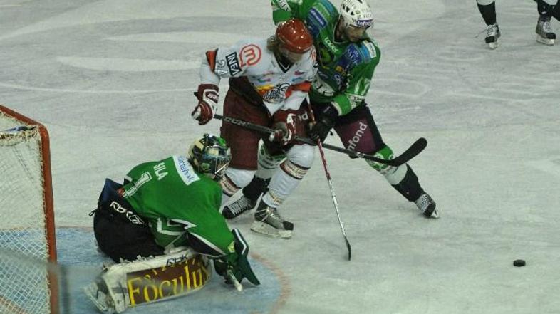 (Foto: Anže Petkovšek)