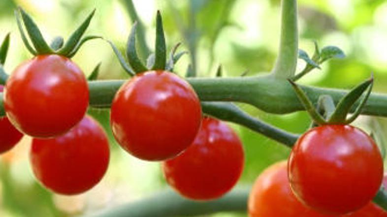 Naj vas popoln videz ne zavede.