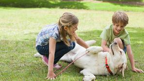 Pes in otroka