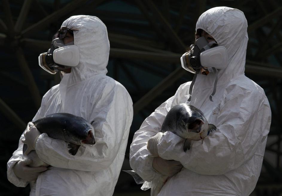 seul, vrh o jedrski varnosti, protesti, protestniki