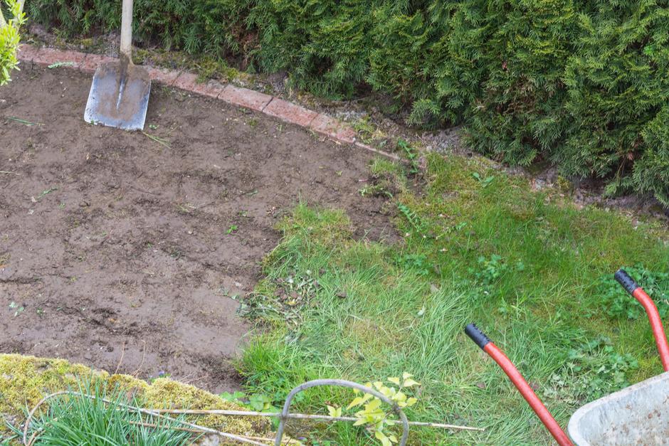 travna ruša | Avtor: Profimedia