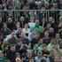 Navijači na tekmi Union Olimpija - Barcelona