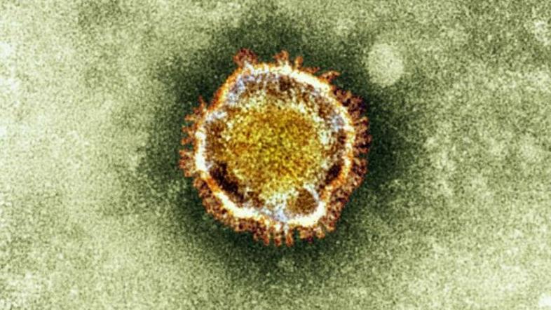 Koronavirus