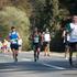 24.Ljubljanski Maraton