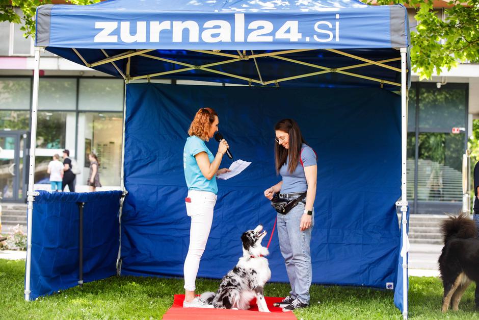 festival za ljubitelje živali | Avtor: Saša Despot