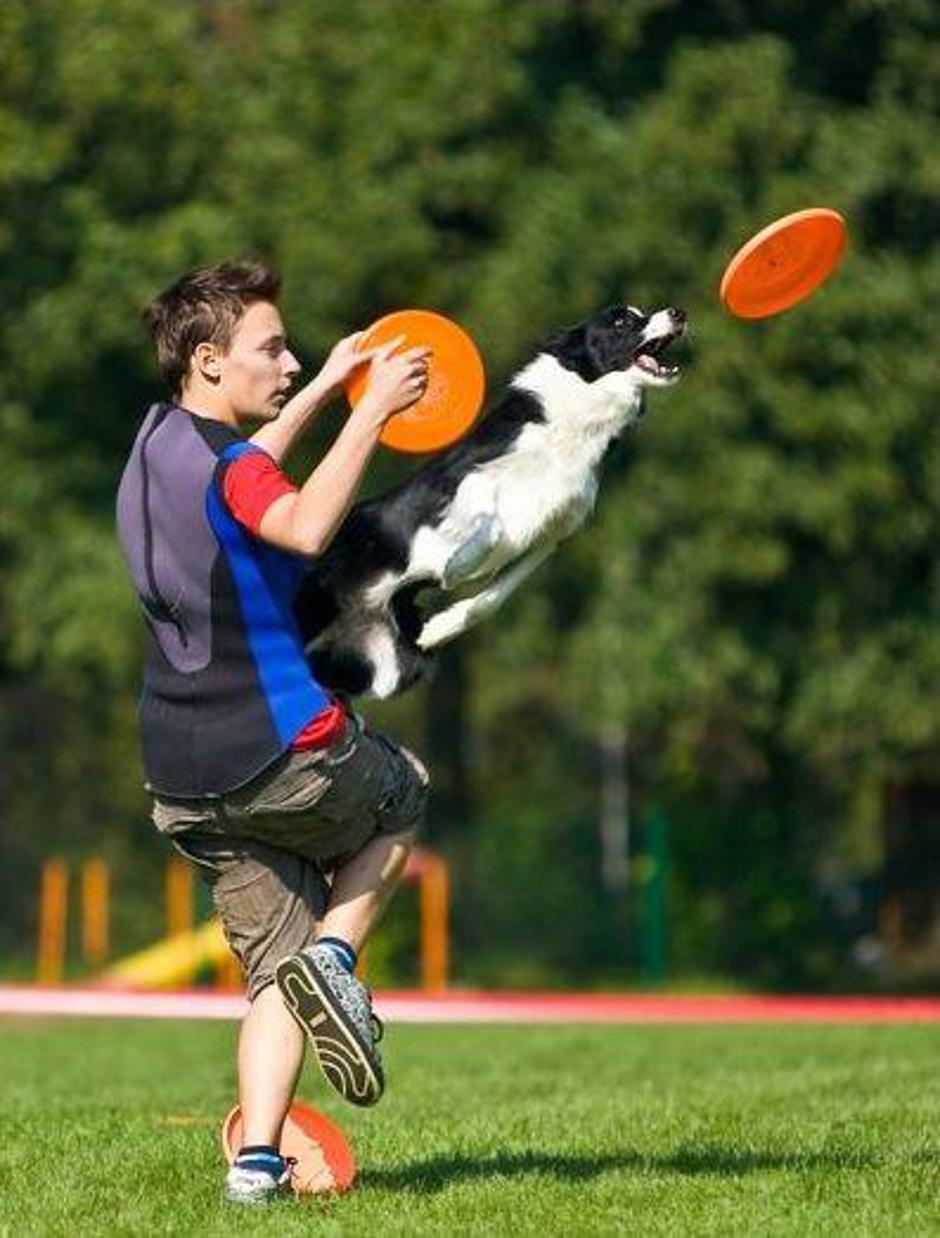  | Avtor: Žurnal24 main