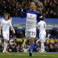 steven pienaar everton