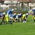 Cefl Ljubljana Silverhawks Novi Sad Dukes