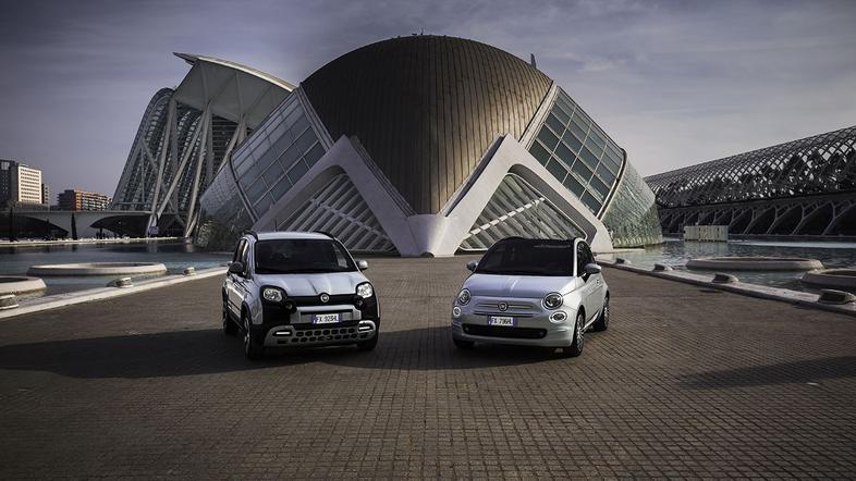 Fiat 500 in panda