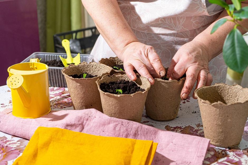 sadike | Avtor: Profimedia