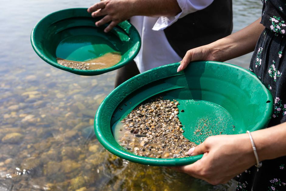 Zlata Drava | Avtor: Saša Despot