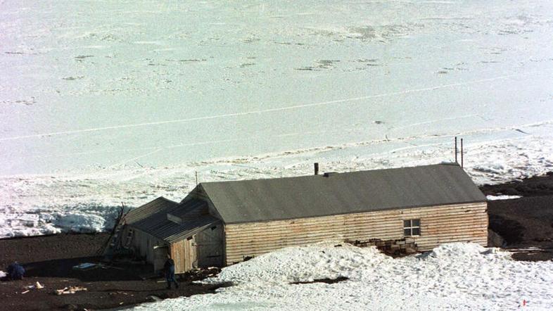 Viski so odkrili v bližini koče, kjer sta prebivala Ernest Shackleton in kapitan