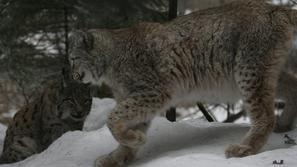 Zoo Ljubljana