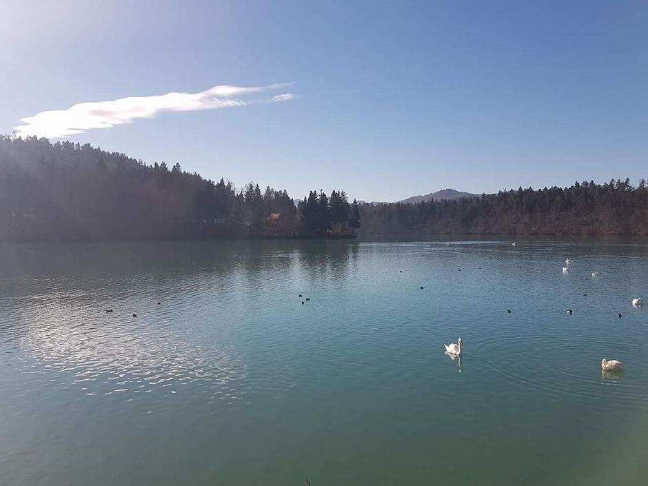 Zbiljsko jezero | Avtor: P.K.