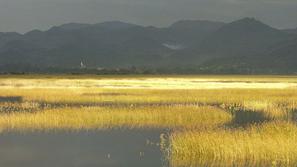 Cerkniško jezero.