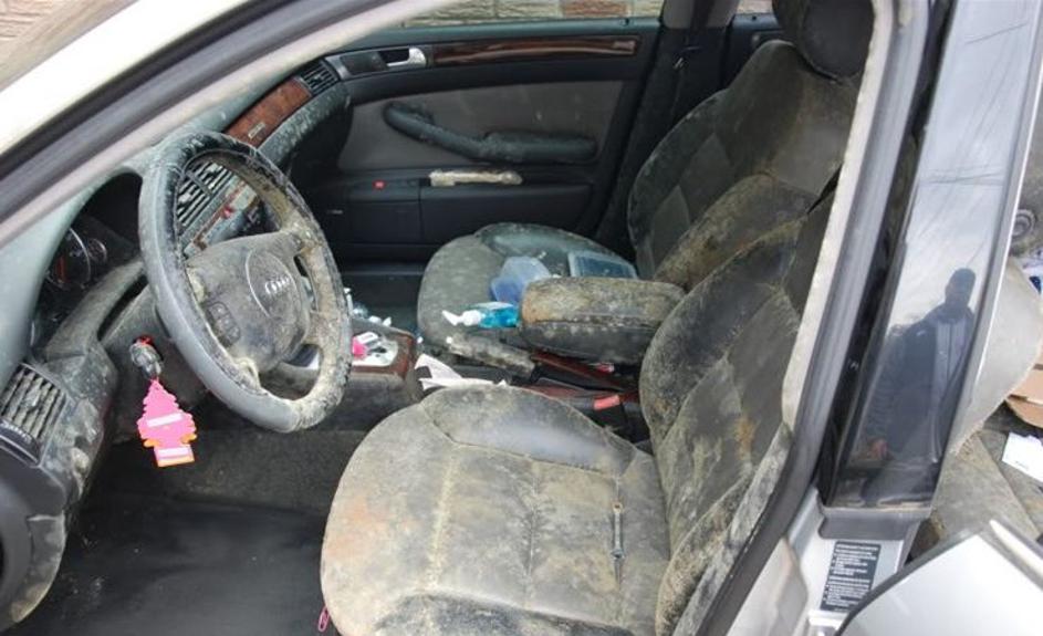 Plesen je napadla audi A6 allroad.