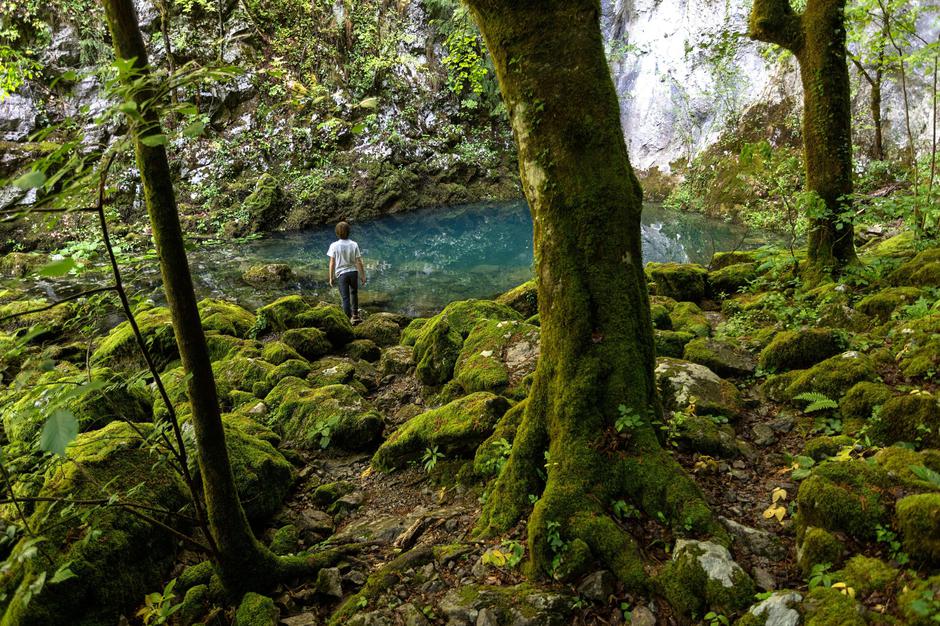 izvir Kolpe | Avtor: Profimedia