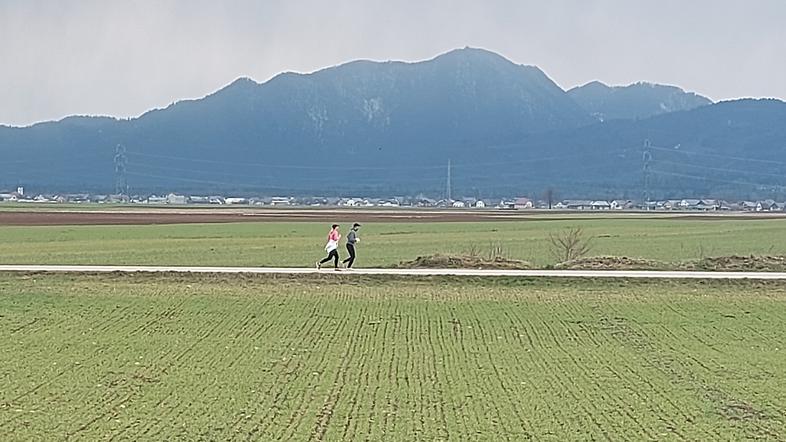 kmetijstvo, polje, hrana