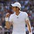 Andy Murray Wimbledon finale