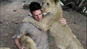 Tudi levi imajo svojo nežno plat. (Foto: youtube)