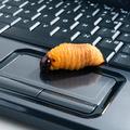 Za informacijo o avtorju črva, ki bi pripeljala do obsodbe na sodišču, je Micros