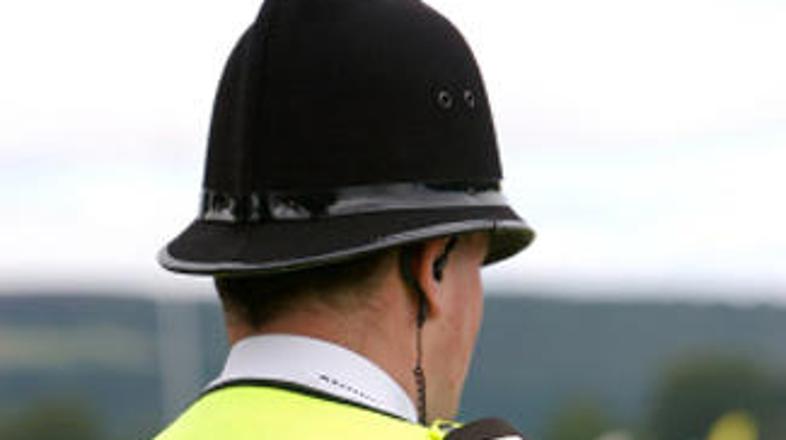 Umik maskote je jasen dokaz, da londonske policije ne sestavljajo samo beli poli