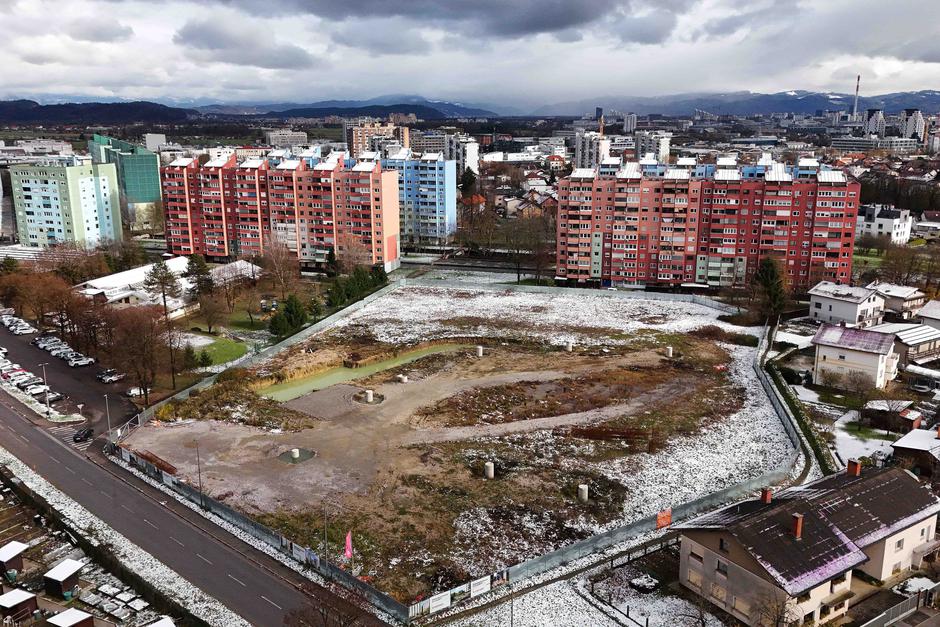 Regentov kvart brusnica | Avtor: Saša Despot