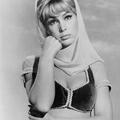 barbara eden