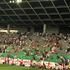 (Slovenija - Anglija) kvalifikacije euro 2016