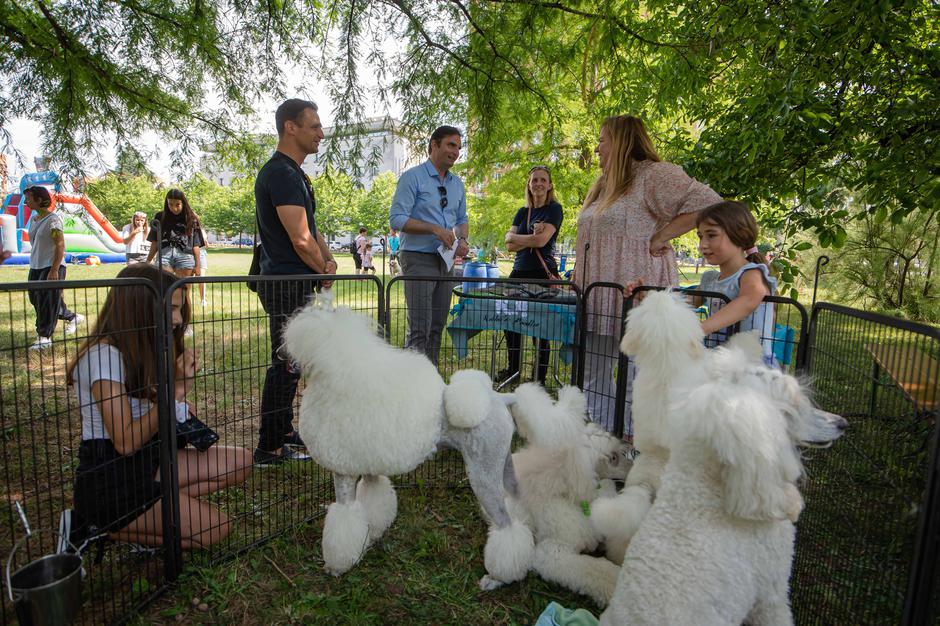 sejem | Avtor: Anže Petkovšek