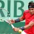 Nadal Ferrer OP Francije Roland Garros polfinale Pariz