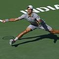 novak đoković indian wells