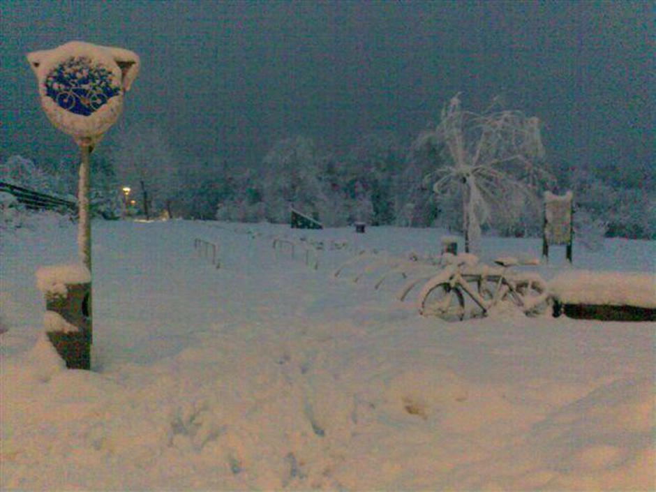 zasne%C5%BEena kolesarska steza | Avtor: Žurnal24 main