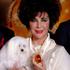 Elizabeth Taylor