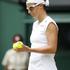 Kirsten Flipkens Wimbledon polfinale