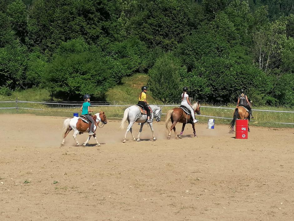 ranč Šinkovec | Avtor: Špela Šinkovec